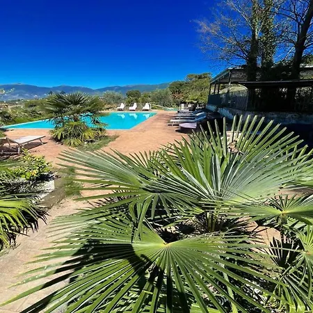 6 Gorgeous Apts, Each Sleeps 4, Set In Beautiful Grounds With Pool Jacuzzi * Colle Umberto (Umbria)