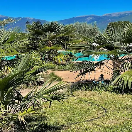6 Gorgeous Apts, Each Sleeps 4, Set In Beautiful Grounds With Pool Jacuzzi شقة Colle Umberto (Umbria)