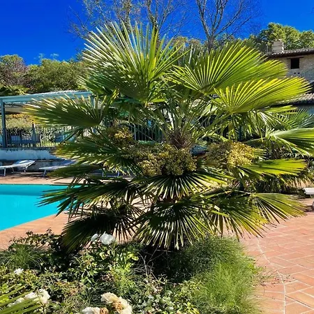公寓 6 Gorgeous Apts, Each Sleeps 4, Set In Beautiful Grounds With Pool Jacuzzi