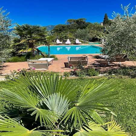 6 Gorgeous Apts, Each Sleeps 4, Set In Beautiful Grounds With Pool Jacuzzi * Colle Umberto (Umbria)